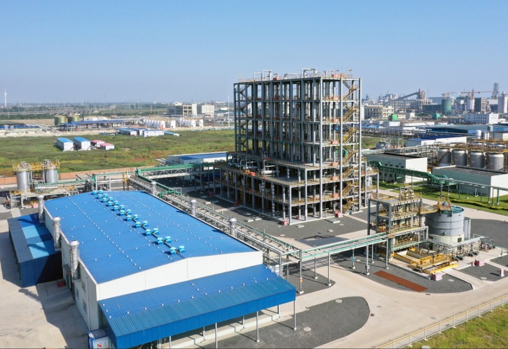 202411251732502179835203.jpg 4bde3b1a-278e-4b66-9dc2-6977443304b3.jpg